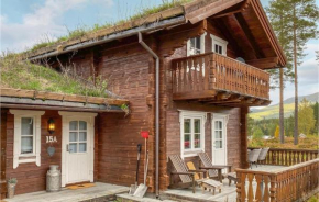 Nice Home In Vrådal With Wifi